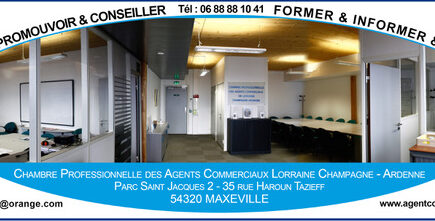 Chambre Agent commercial